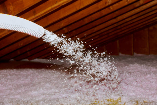 Best Energy Efficiency Solutions in Trappe, PA