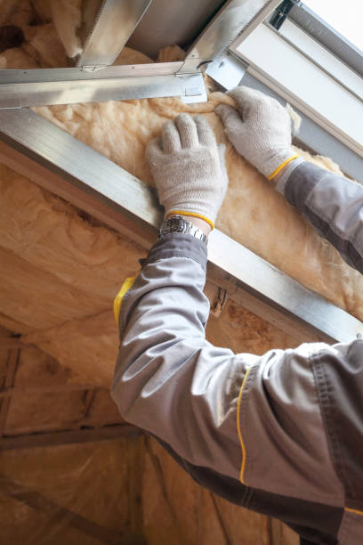 Best Insulation Maintenance and Repair in Trappe, PA
