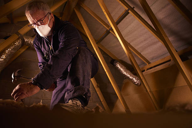 Best Residential Insulation in Trappe, PA